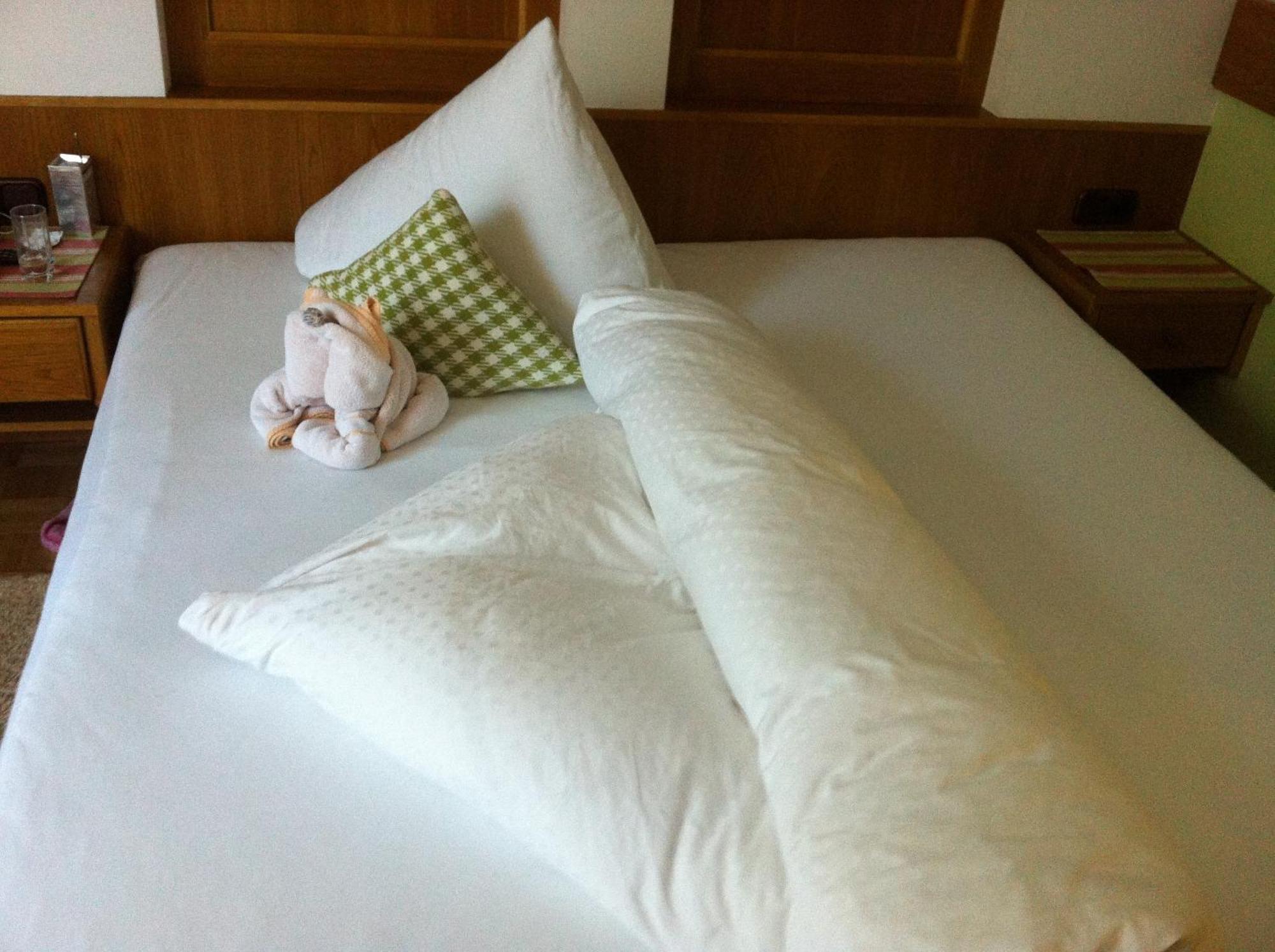 Alpin Hotel Garni Eder - Private Living Mayrhofen Δωμάτιο φωτογραφία